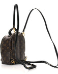 Monogram Palm Springs Backpack Mini