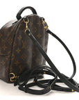 Monogram Palm Springs Backpack Mini