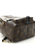 Monogram Palm Springs Backpack Mini