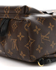 Monogram Palm Springs Backpack Mini