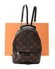 Monogram Palm Springs Backpack Mini