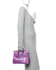 Lizard Birkin 25 Violet