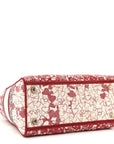 Canvas Embroidered Medium D1ORamour D-Royaume Lady D-Lite Red Multicolor