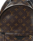 Monogram Palm Springs Backpack PM