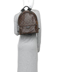 Monogram Palm Springs Backpack MM