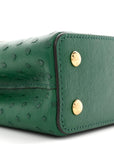 Ostrich Capucines Mini Mint