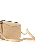 Ostrich Constance 18 Parchemin