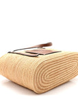 Raffia Small Square Basket Tote Bag Natural Tan