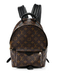 Monogram Palm Springs Backpack PM
