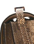 Lizard Constance 18 Ombre