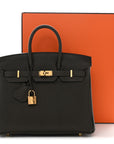 Togo Birkin 25 Eucalyptus