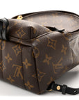 Monogram Palm Springs Backpack Mini