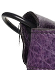 Agneau Classic Hardware First Raisin