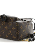 Monogram Palm Springs Backpack Mini