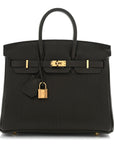 Togo Birkin 25 Eucalyptus
