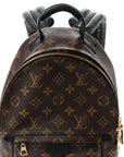 Monogram Palm Springs Backpack PM