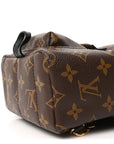 Monogram Palm Springs Backpack Mini