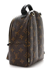 Monogram Palm Springs Backpack Mini