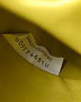 Butter Calfskin The Mini Pouch Kiwi