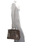 Shiny Porosus Crocodile Birkin 35 Havane