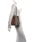 Damier Ebene Neonoe MM Cherry Berry