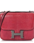 Lizard Constance 18 Fuchsia