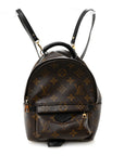 Monogram Palm Springs Backpack Mini