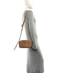 Calfskin Matelasse Monochrome Small GG Marmont Chain Shoulder Bag Camelia