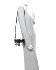 Plexiglass Vitello Mini Baguette Trunk Black Transparent