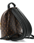 Monogram Palm Springs Backpack PM