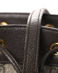 GG Supreme Monogram Web Mini Ophidia Bucket Bag Brown