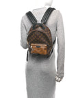 Reverse Monogram Palm Springs Backpack PM