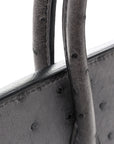 Ostrich Birkin 25 Gris Agate