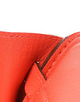 Swift Birkin 25 Capucine
