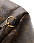 Monogram Palm Springs Backpack Mini