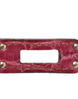 Shiny Niloticus Crocodile Birkin 25 Rose Scheherazade
