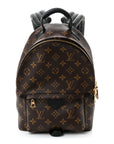 Monogram Palm Springs Backpack PM