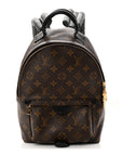 Monogram Palm Springs Backpack PM