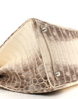 Matte Niloticus Crocodile Himalaya Birkin 30 Blanc