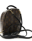 Monogram Palm Springs Backpack Mini