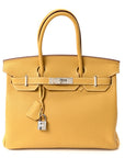 Togo Birkin 30 Curry