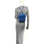 Goyardine Calfskin Mini Alpin Backpack Sky Blue