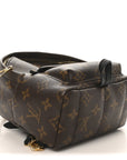 Monogram Palm Springs Backpack Mini