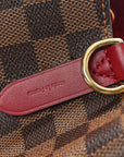 Damier Ebene Neonoe MM Cherry Berry
