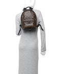 Monogram Palm Springs Backpack PM