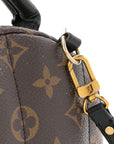 Monogram Palm Springs Backpack Mini