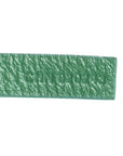 Goyardine Saint Louis GM Green
