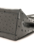 Ostrich Shiny Nappa Mini Peekaboo Iconic Satchel Grey
