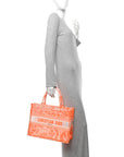 Transparent Canvas Embroidered Medium D1ORiviera Toile De Jouy Book Tote