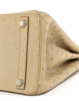 Ostrich Birkin 30 Parchemin